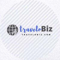 travelobiz logo - Similar company to Global Care Solutions