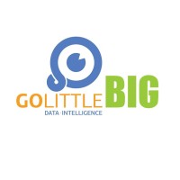 GoLittleBig Technology Solutions logo - Similar company to Recruitable Jobs