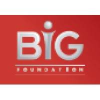 The Big Foundation