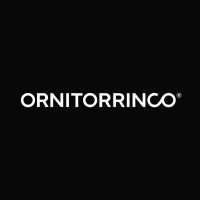 Ornitorrinco Films, S.L. logo - Similar company to Nolsom