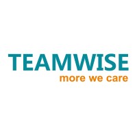 Teamwise Metal Co.,Ltd logo - Similar company to Pegah