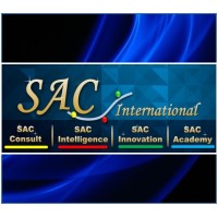 Strategy & Analytics Consulting