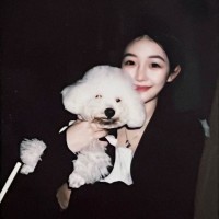 Shandong Braces International Trade Co., Ltd. logo - Similar company to Linyi Luju Inc(Construction Material Manufacturing Vendor)