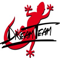 Dream Team Car logo - Similar company to Groupe Cipanguo