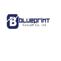 Blueprint Consult logo - Similar company to Hexagone Performances