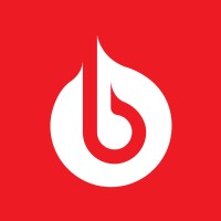 Bolster Systems Limited logo - Similar company to Fire Survey Pro