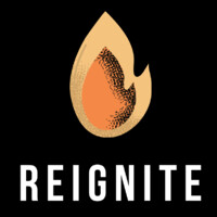 Reignite | Social Media & Marketing logo - Similar company to The Brighter Day Company