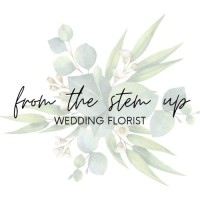 from the stem up logo - Similar company to Stemup