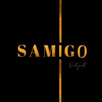 Samigo logo - Similar company to Mc Digital Group