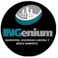 Ingenium logo - Similar company to Tecnocrom S.A.