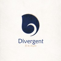 Divergent Store logo - Similar company to Helzeidy