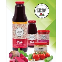 KISZON logo - Similar company to Sivmo