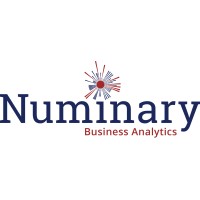 Numinary Analytics logo - Similar company to Silbo Ltd