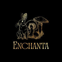 Enchanta Experiences logo - Similar company to Enchanta Studios