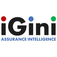 iGini logo - Similar company to Augmentell