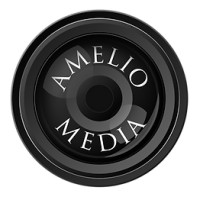 Amelio Media logo - Similar company to Remarkable Reasons