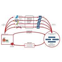 NORA Expertgroep Dienstverlening logo - Similar company to Digital Architects Network