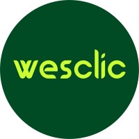 Wesclic Technology logo - Similar company to Envynity Studio