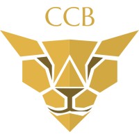 Creative Construction Business