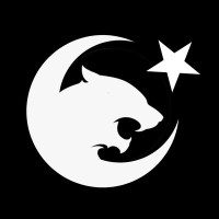 Parslar logo - Similar company to Beu Cyber