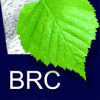 Berkana Resources Corporation logo - Similar company to Sirius Power Generation