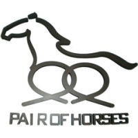 Langfang Pairs Horses Chemical Co,Ltd logo - Similar company to Premier Foundry Services Pvt Ltd