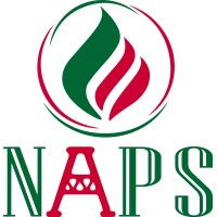 North Africa Petroleum Services logo - Similar company to Brightfuture Tech