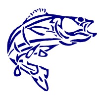 Bass Surgical logo - Similar company to Pro Players Business Network