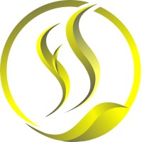 Salience foundation logo - Similar company to Silver Oak University