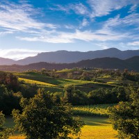 Proseccoshire Colline Conegliano Valdobbiadene Patrimonio Unesco