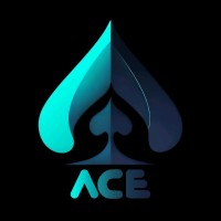 ACE - Association of Computer Engineers logo - Similar company to Nmit Construction