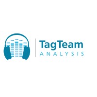 TagTeam Analysis logo - Similar company to Le Lab Mastering