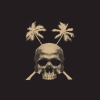 SAINT PIRATE logo - Similar company to Tectius
