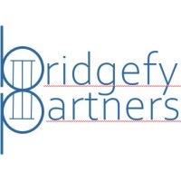 Bridgefy Partners logo - Similar company to Axon Racing Sàrl