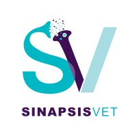 Sinapsisvet logo - Similar company to Ágorastur Formación