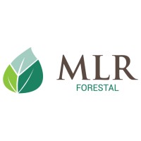 MLR Forestal logo - Similar company to Solintersa