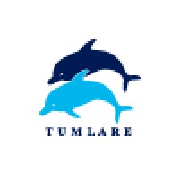 Tumlare Corporation logo - Similar company to Trexova | Wellness Tourism