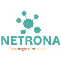 NETRONA.xyz logo - Similar company to Simplidata
