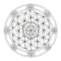 Equilibrea logo - Similar company to Ldrm, Llc