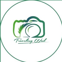 Traveling Wad logo - Similar company to Traveling While Black