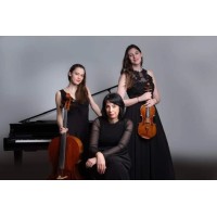 Sæson Piano Trio (Ensemble) logo - Similar company to Trio Aralia