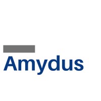 Amydus (India) logo - Similar company to Synoramedia