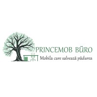 Princemob Büro logo - Similar company to Krenic
