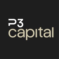 P3 Capital logo - Similar company to Fincopy Solutions