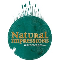 Natural Impressions Waterscapes logo - Similar company to Teamizzy Foundation
