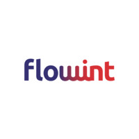 FlowInt logo - Similar company to Ibm Global Services-Network Services