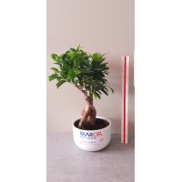 Marcel Génie Climatique logo - Similar company to Accair Génie Climatique