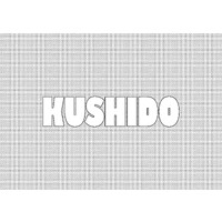 Kushido UK logo - Similar company to E4S - Student Recruitment Specialist