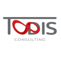 Todis Consulting Group logo - Similar company to Geeknauts