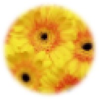 Fleurtations